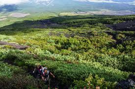 Mt Fuji Mountain Hut Reservations Fuji Mountain Guides
