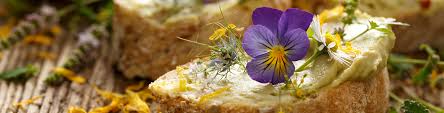 Check spelling or type a new query. 11 Edible Flowers Flower Power