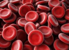 Er ließ anderen auf den unteren plätzen. Auffallige Cholesterinwerte Www Cholesterinspiegel De