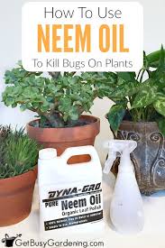 Neem oil concentrate is usually mixed with water and sprayed on both sides of plant leaves. Pin On Patio And Garden