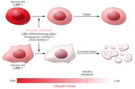 Question reliability in a statewide sample. Jci Graphical Abstract