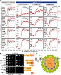1500 jpy = 653.47569 php. Phase Separation Directs Ubiquitination Of Gene Body Nucleosomes Abstract Europe Pmc