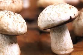 Meringue Mushrooms Recipe Recipe Meringue Mushrooms Stuffed Mushrooms Meringue