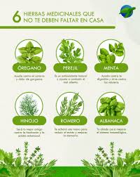 Como dicen por ahí, la naturaleza lo tiene todo para sanarnos y muestra de  ello, son estos seis tipos de hierbas medicinales que no deben faltar nunca  en tu huerto ?? . . . #