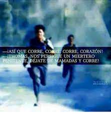 Pin En The Maze Runner