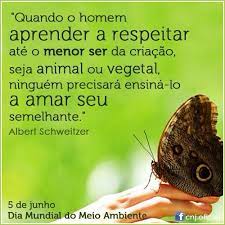 See more of dia mundial do meio ambiente on facebook. Frase Meio Ambiente Meio Ambiente Meio Ambiente Frases Imagens Meio Ambiente