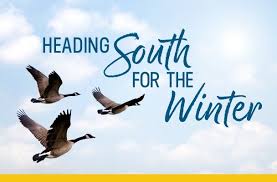 The facility includes 55 dog and 32 cat kennels, is climate controlled for the animals' comfort, and features commercial cleaning equipment for sanitation. Snowbirds Are Headed South For The Winter Sun Rv Resorts