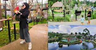 Harga tiket masuk selabintana 2021 : Lembang Park And Zoo Info Lengkap Harga Tiket Hingga Cara Ke Sana Klook Blog