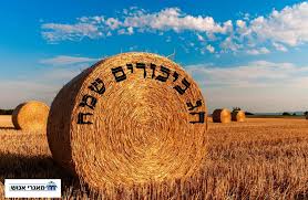 ×—×' ×©×'×•×¢×•×ª ×©×ž×— ×ž××'×¨×™ ×× ×•×©