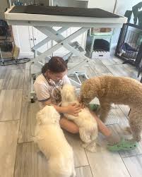 The Matted Doodle‎‏ کی پروفائل‎