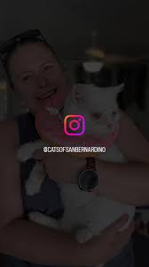 Valkyrie update!, Thank you to everyone who donated towards Valkyrie's  medical bills. Special thanks to Sara ❤️ I hope you see this.