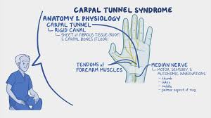 Image result for Carpal Compression Test