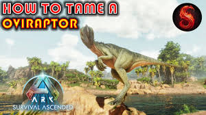 Oviraptor - General Discussion - Ark - Official Community Forums