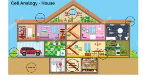 Cell analogy projects require students to choose places or objects like a school, a city, a car or a teachers often assign cell analogy projects for this reason. Cell Analogy By Akshara Seeta