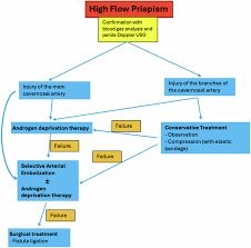 Image result for Priapism