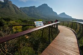 In fünf gewächshäusern entfalten vor allem. Weltkulturerbe Kirstenbosch Botanical Garden In Kapstadt