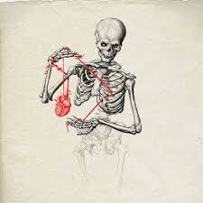 Weird Woman Weirdwoman Twitter Skeleton Art Anatomy Art Art