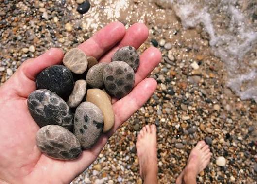 20,000+ Free Petoskey Stones & Stone Images - Pixabay
