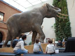 Los restaurantes cercanos como hotel campaniletoulouse restaurant, hotel restaurant campanile cite de l'espace y la villa des oliviers están fácilmente accesibles.también autopista se ubica cerca para explorar los. Le Museum De Toulouse Toulouse Musee