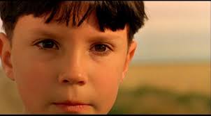 the-reflecting-skin_05