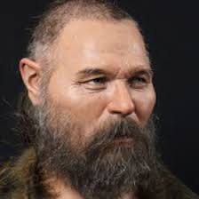 Waar kwamen deze families vandaan