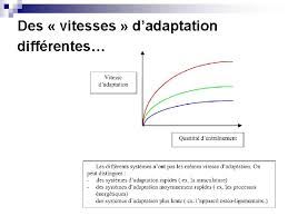 L'entraînement à vitesse constante (en anglais constant speed drive ou csd) est un dispositif mécanique permettant d'obtenir une fréquence constante sur l'alternateur d'une turbomachine. Entrainement Et Performance Gnralits Professorat De Sport Ecrit