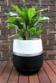 Black And White Flower Pots Hand Painted Lightweight Plant Pot White And Black With Metallic Silver Stripe This Is A Striking Design W In 2020 Indoor Plant Pots Plant Pot Diy Painted Flower Pots