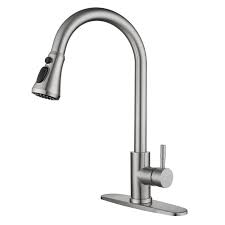 Local Kitchen Faucet With Pull Down