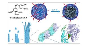 Blocking Blood Flow to Solid Tumors by Destabilizing Tubulin: An Approach  to Targeting Tumor Growth | Journal of Medicinal Chemistry