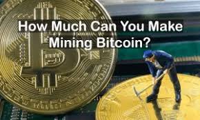 In the end game, when fiat dies, the only thing that will. How Much Can You Make Mining Bitcoin Apr 2021