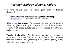 Acute And Chronic Renal Failure