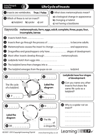 The effect of acid rain on building materials. 110 Ks2 Free Science Worksheets And Lesson Starters For Print Whiteboard And Tablets Insects Teaching Resources