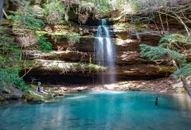If you enjoy birding, make a point of visiting the brushy lake recreation area to watch the cerulean warblers. Oc Shangri La Falls Bankhead National Forest Alabama Album On Imgur