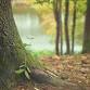 Nature and wellbeing short walk event in Nelson