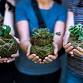 Kokedama Workshop — Botany