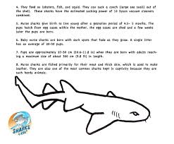 It preys on fish and invertibrates found in reefs. Nurse Shark Coloring Pages Shefalitayal