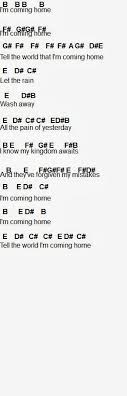 Flute Sheet Music Coming Home Pt Ii Flute Sheet Music Hamilton Sheet Music Piano Songs