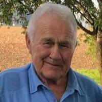 Mel Lee Vick Obituary (2024)