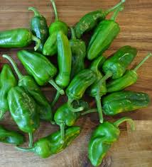 Free cancellationreserve now, pay when you stay. Mit Foto Pimiento De Padron Chili Pepper De Die Chili Community