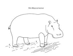 Check spelling or type a new query. Hippopotamus Coloring Page Worksheets Teaching Resources Tpt