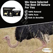 Image result for Egyptian Cream 1972 Hussmann