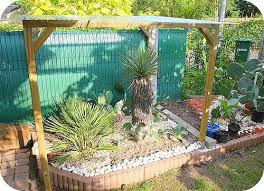 onderhoudstips exotische planten in het voorjaar tropische planten planten tropische tuin