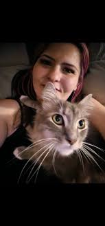 Lost grey neutered cat in Lake City, Seattle