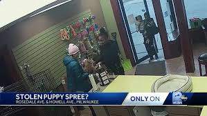 Get contact details or leave a review about this business. Video Women Try To Steal Puppies From Pet Stores