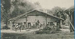Le Mode De Vie Ancestral Dans L Airial Landes Cote Landaise Vie Rurale