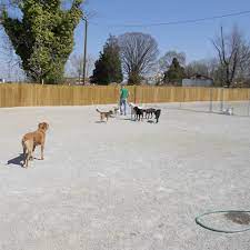 Golden paws pet resort & spa is the product of our family's lifelong passion for pets and our steadfast commitment to provide a safe, loving and fun environment for furry family members to play, learn and stay. Four Paws Pet Resort