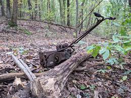 Creepy things found in the woods. What S The Strangest Thing You Ve Found In The Woods Pennlive Com
