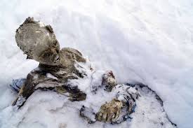 Scientists say that it is the most finely preserved specimen ever found. The 12 Strangest Objects Found Frozen In Time