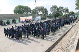 Sekolah vokasi undip merupakan sebuah program pendidikan profesional yang akan menghasilkan lulusan yang siap kerja. Cetak Lulusan Unggul 495 Mahasiswa Vokasi Undip Ikuti Pendikar Universitas Diponegoro