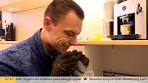Muizenoverlast neemt toe, met deze tips hou je muizen buiten ... - YouTube
